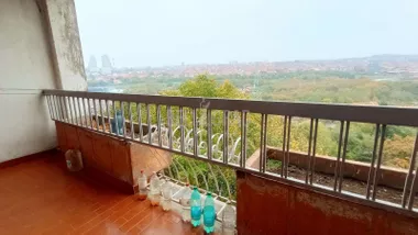 Borivoja Stevanovića