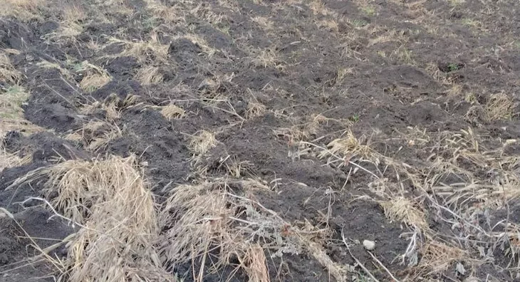 Poljoprivredno zemljište | 4zida