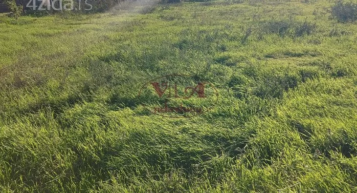 Plac | 4zida
