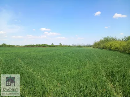 Grabovac | 4zida.rs
