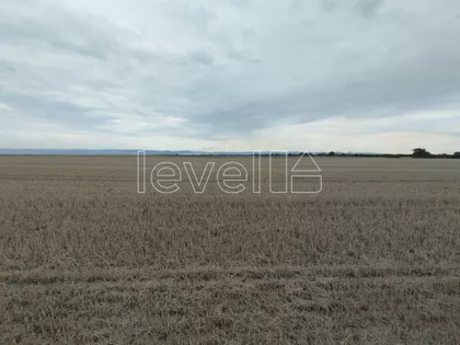Pavlovci | 4zida.rs