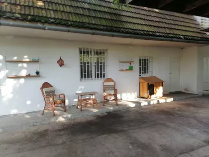 Salajka | 4zida.rs