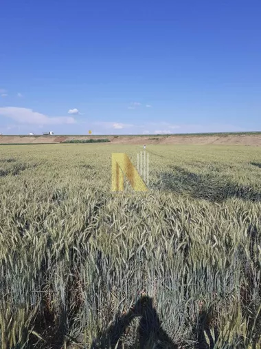 Gradske lokacije