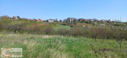 Zaklopača | 4zida.rs