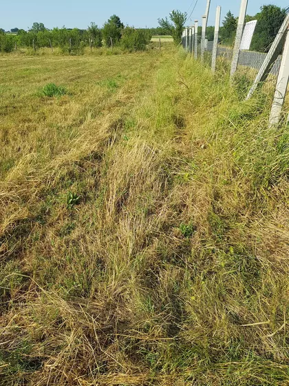 Kosmajska | 4zida.rs