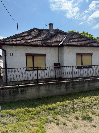Zeleno Polje | 4zida.rs
