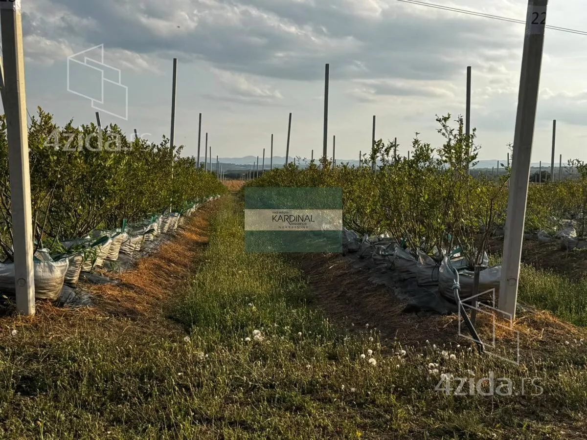 Poljoprivredno zemljište | 4zida