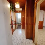 Subotica, Gradske lokacije, Kertvaroš | 4zida.rs | 4zida.rs