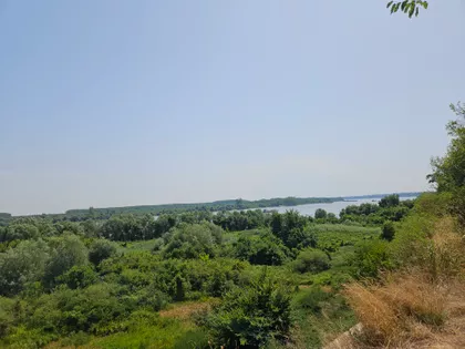 Braće Trninić | 4zida.rs
