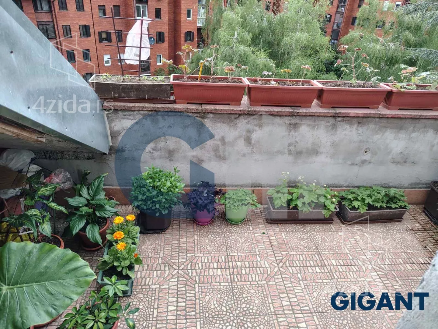 Petosoban stan | 4zida