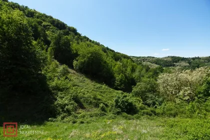 Grajska Gora | 4zida.rs