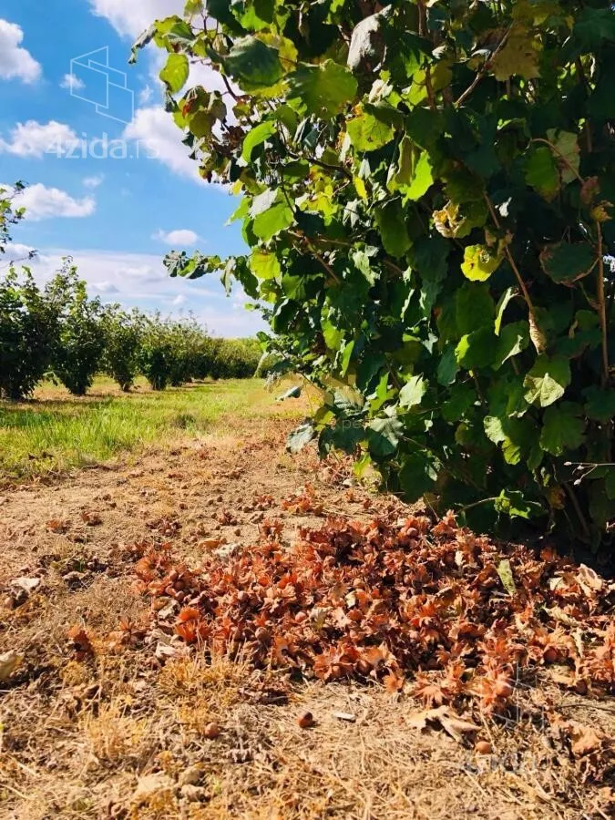 Poljoprivredno zemljište | 4zida