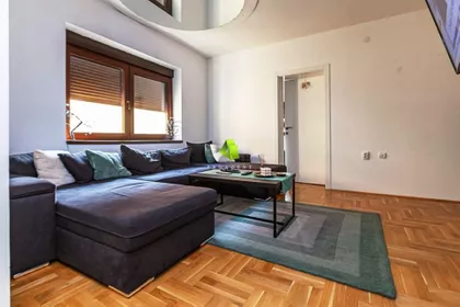 Novice Žigića-Bože | 4zida.rs