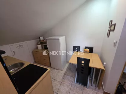 Dr Ivana Ribara | 4zida.rs