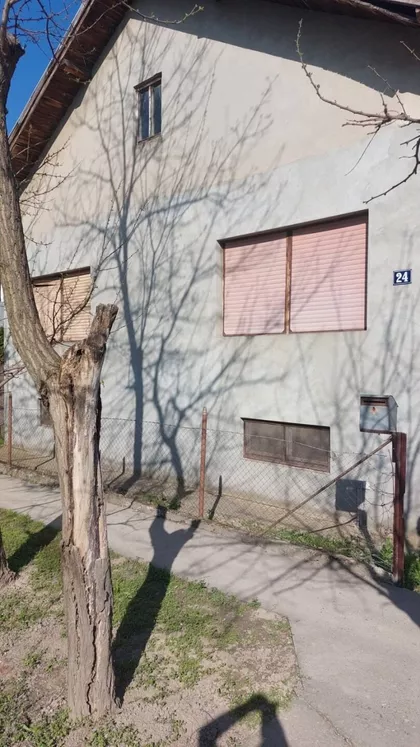Svetozara Markovića | 4zida.rs