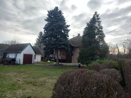 Apatinski Put 87 | 4zida.rs