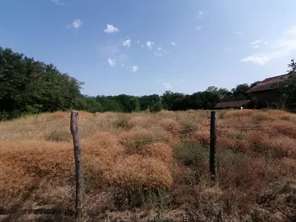 Srpski Šor | 4zida.rs