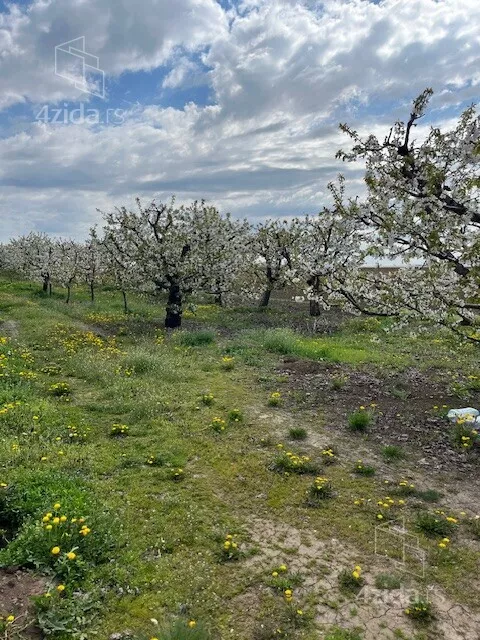 Poljoprivredno zemljište | 4zida