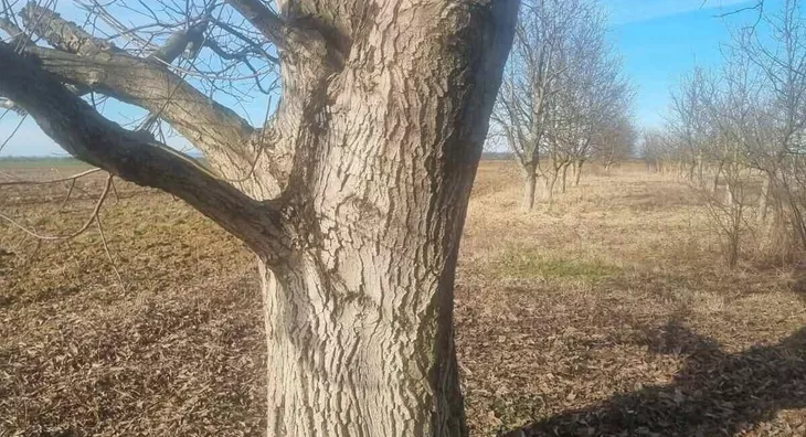 Poljoprivredno zemljište | 4zida