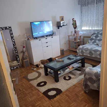 Franje Štefanovića 6 | 4zida.rs