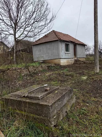 Badnjevac | 4zida.rs