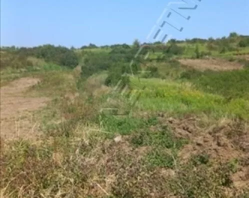 Plac | 4zida