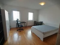 Nova Detelinara, Detelinara, Gradske lokacije, Novi Sad | 4zida.rs | 4zida.rs