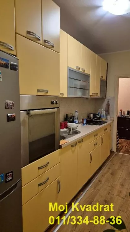 Dr Nika Miljanića | 4zida.rs