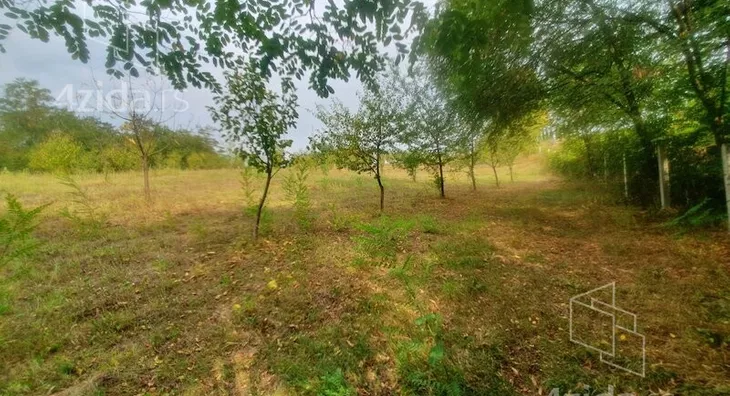 Plac | 4zida
