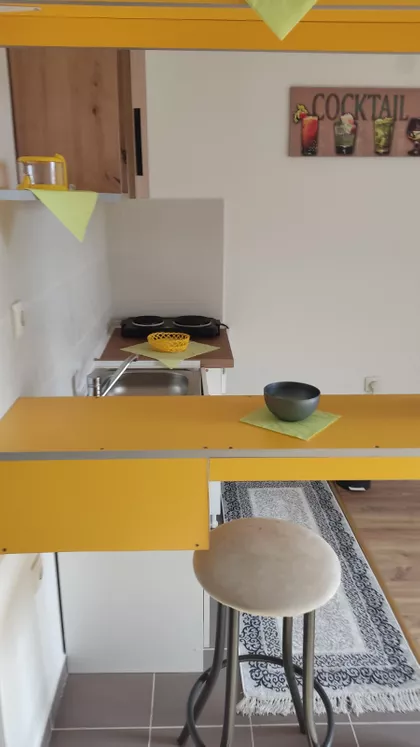 VASE OSTOJIĆA | 4zida.rs