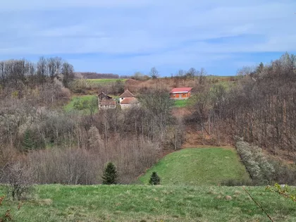 Brajići | 4zida.rs