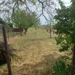 Zrenjanin, Gradske lokacije, Bagljaš | 4zida.rs | 4zida.rs