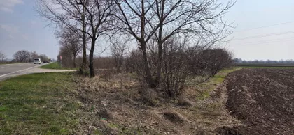 Novosadska | 4zida.rs