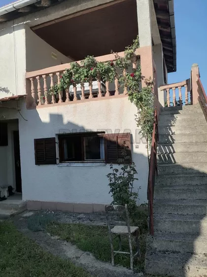Goli Rid | 4zida.rs