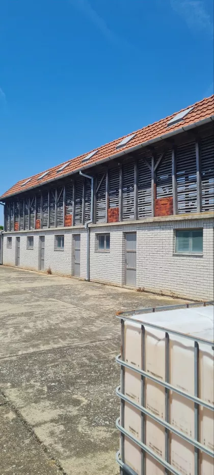 Crepaja | 4zida.rs