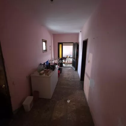 Svetozar Miletić | 4zida.rs