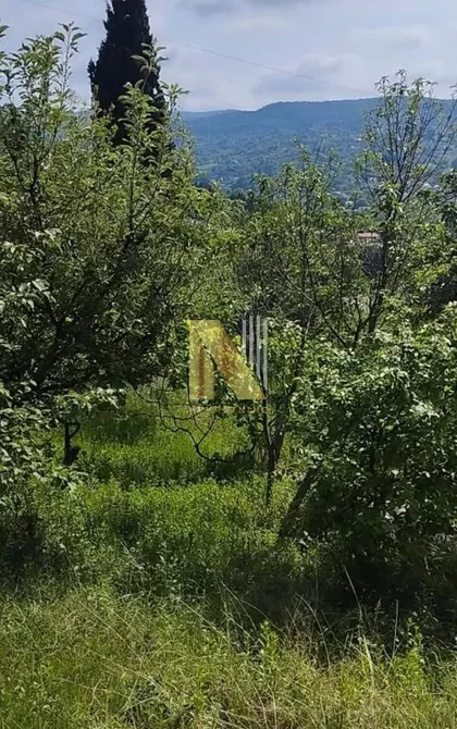 Sremska Kamenica | 4zida.rs