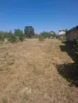Novi Sad, Okolne lokacije, Futog | 4zida.rs | 4zida.rs