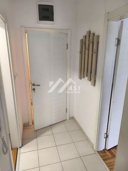 Dalmatinska | 4zida.rs