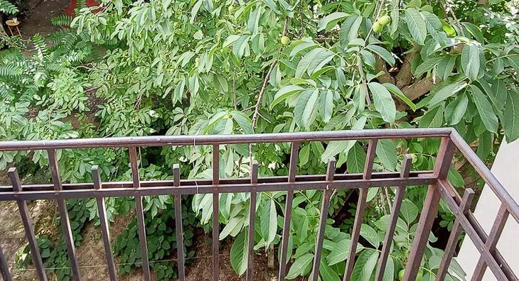 Četvoroiposoban stan | 4zida