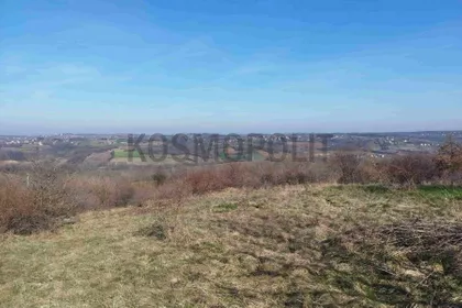 Milosava Đorića Zoke | 4zida.rs