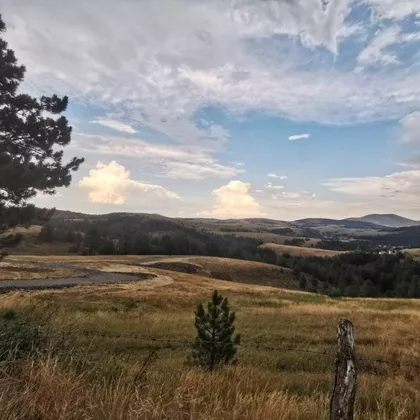 Kobilja Glava | 4zida.rs