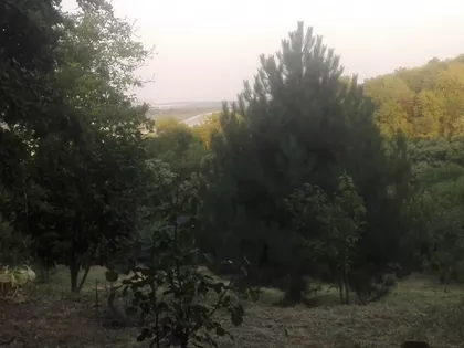 Podunavska | 4zida.rs