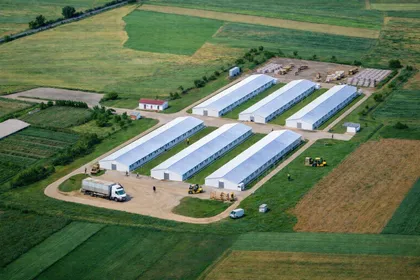 Svete Bogorodice 56 | 4zida.rs