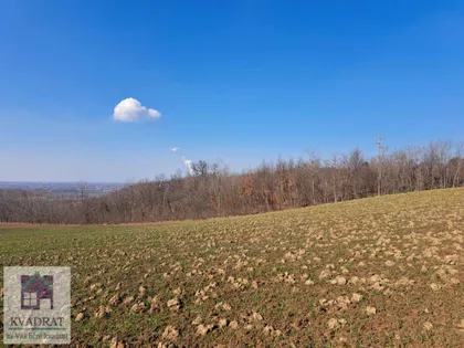 Mislođin | 4zida.rs