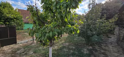 Lovćenac | 4zida.rs