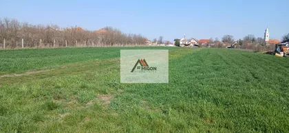 Dušana Vukasovića | 4zida.rs