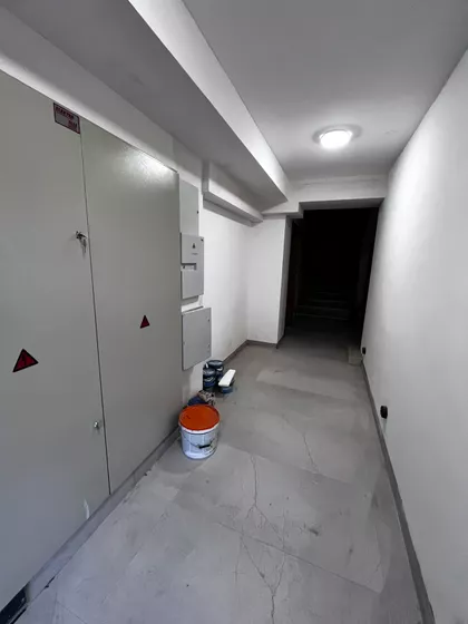 Živka Davidovića | 4zida.rs