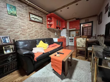 ULOFA PALMEA | 4zida.rs