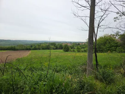 Miodraga Todorovića | 4zida.rs